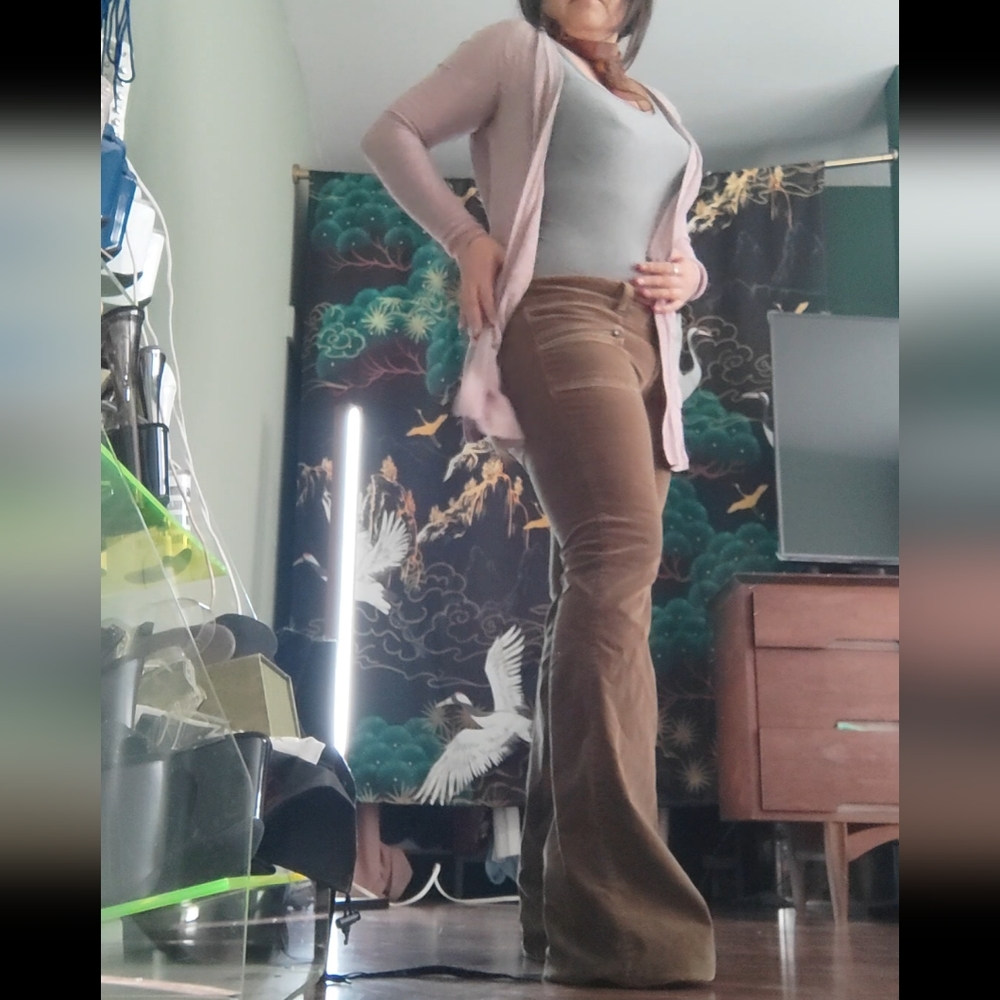Velvet Bell Bottom Pants